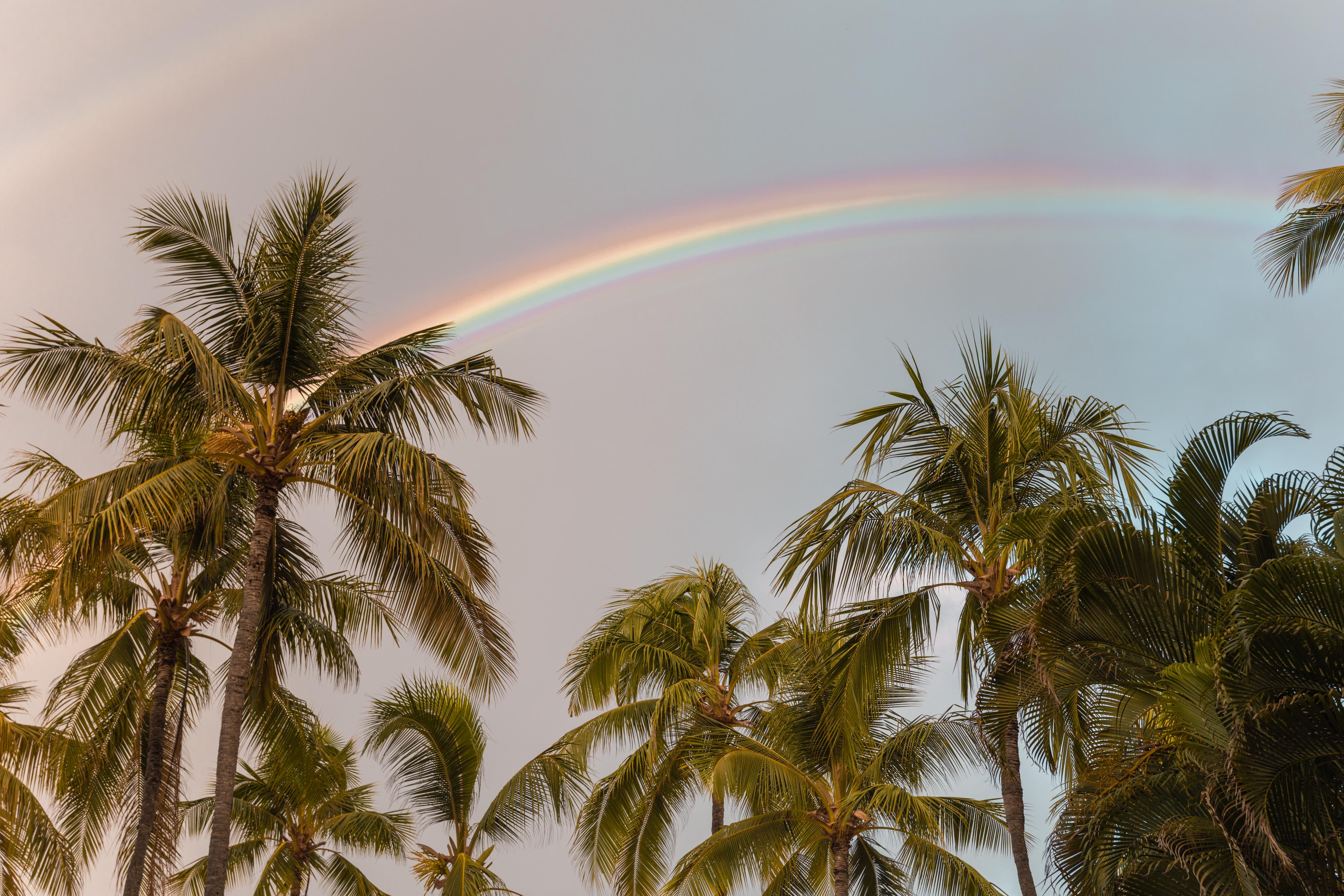 Ohia Waikiki Hotel