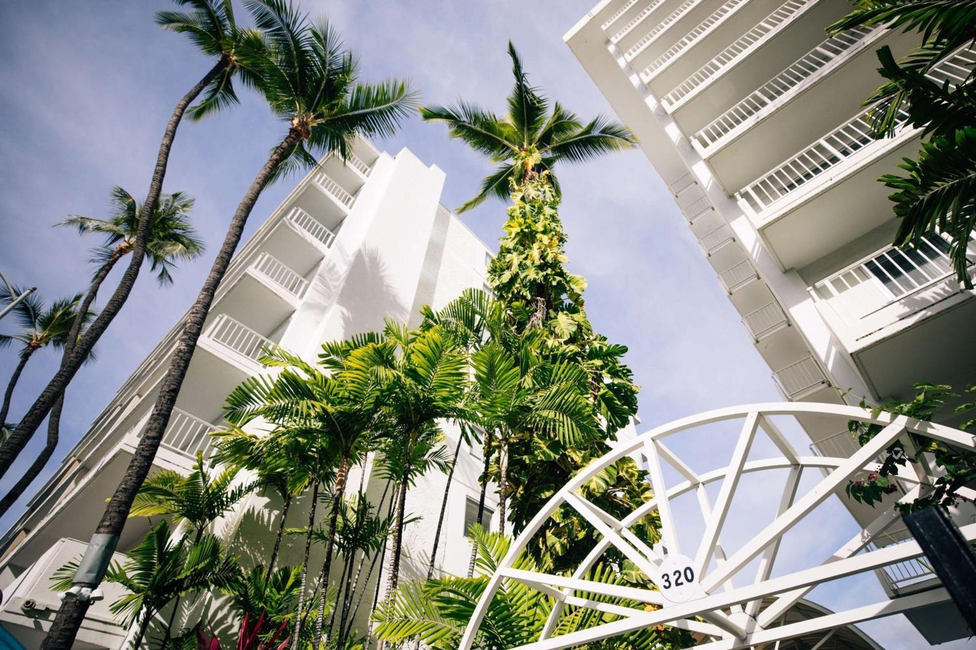 Oasis Waikiki
