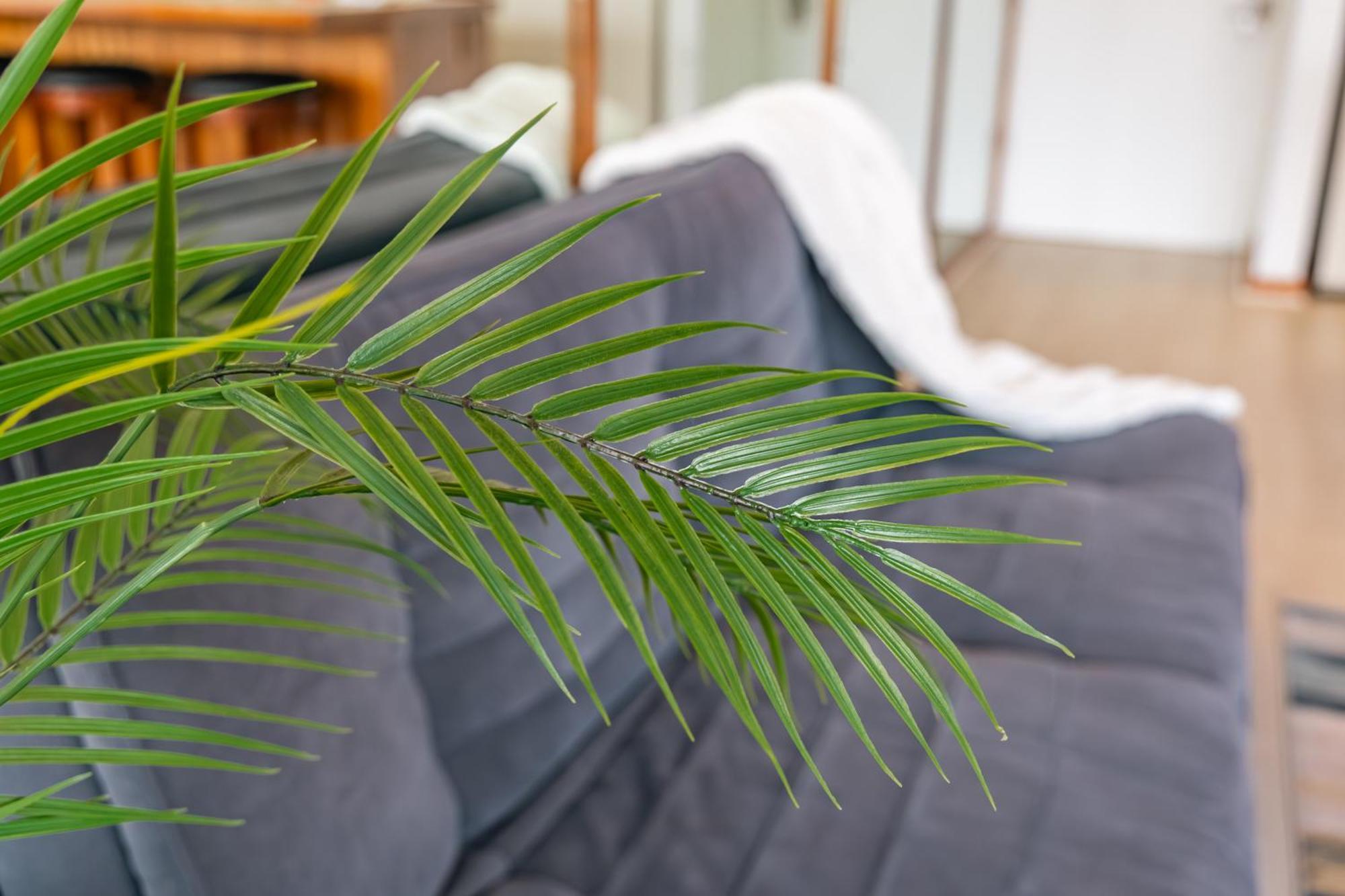 Renovated Mountain View Getaway With Free Parking! Apartment Honolulu