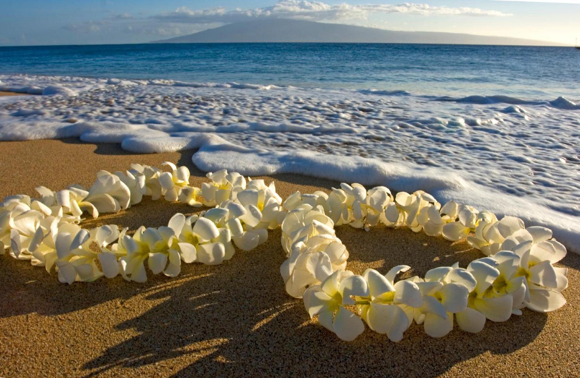 Lovely 1br Ocean View Condo, Near + Parking! Honolulu
