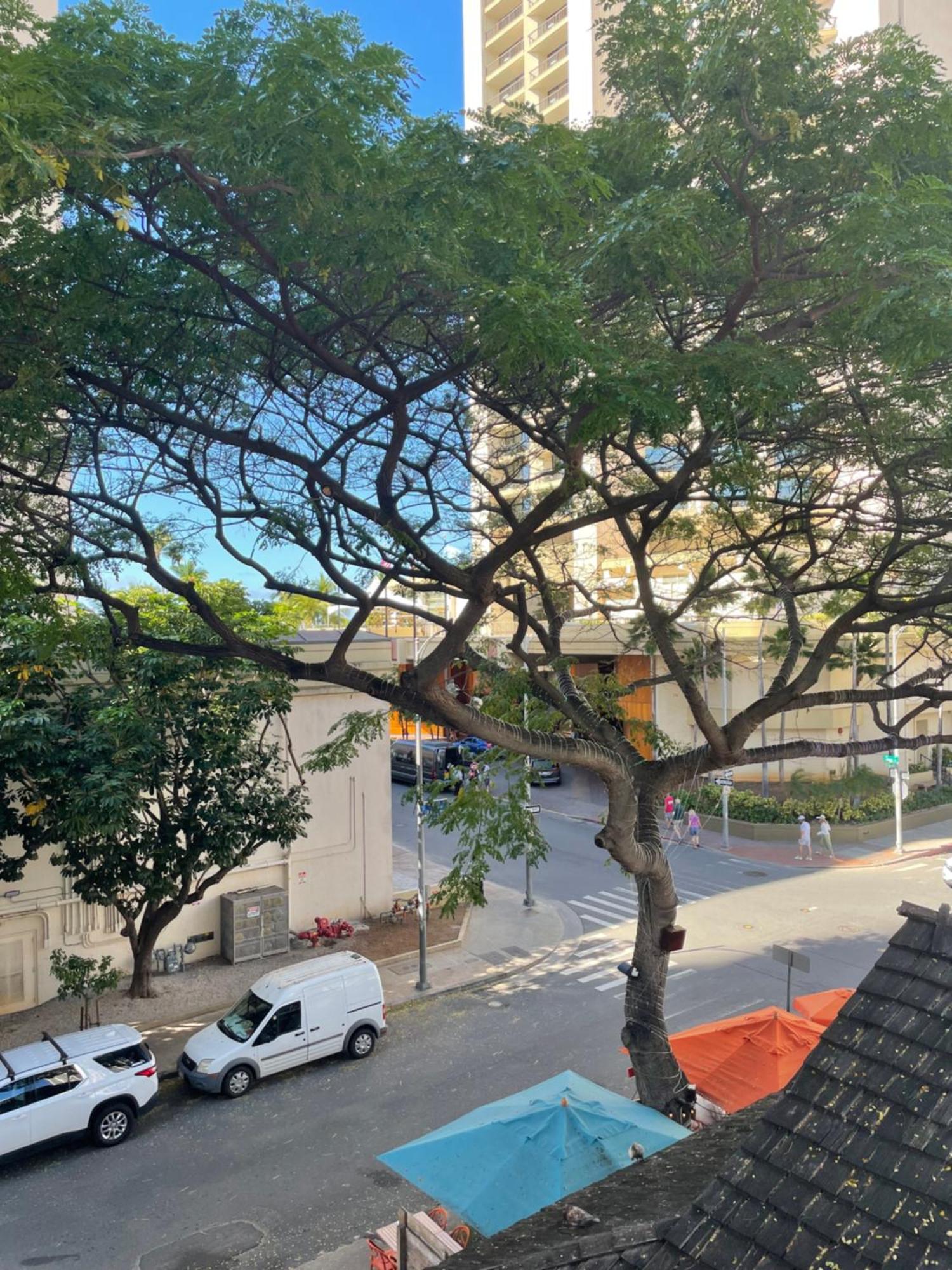 Apartment Stylish Near Kuhio Honolulu