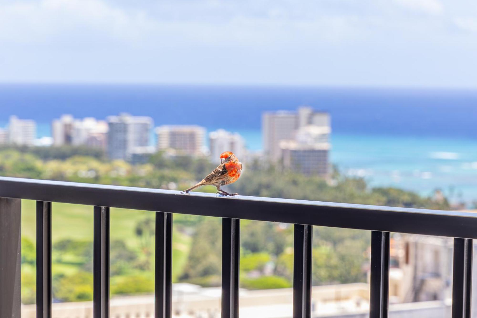 Breathtaking Ocean View 1 Bedroom With Free Parking! *