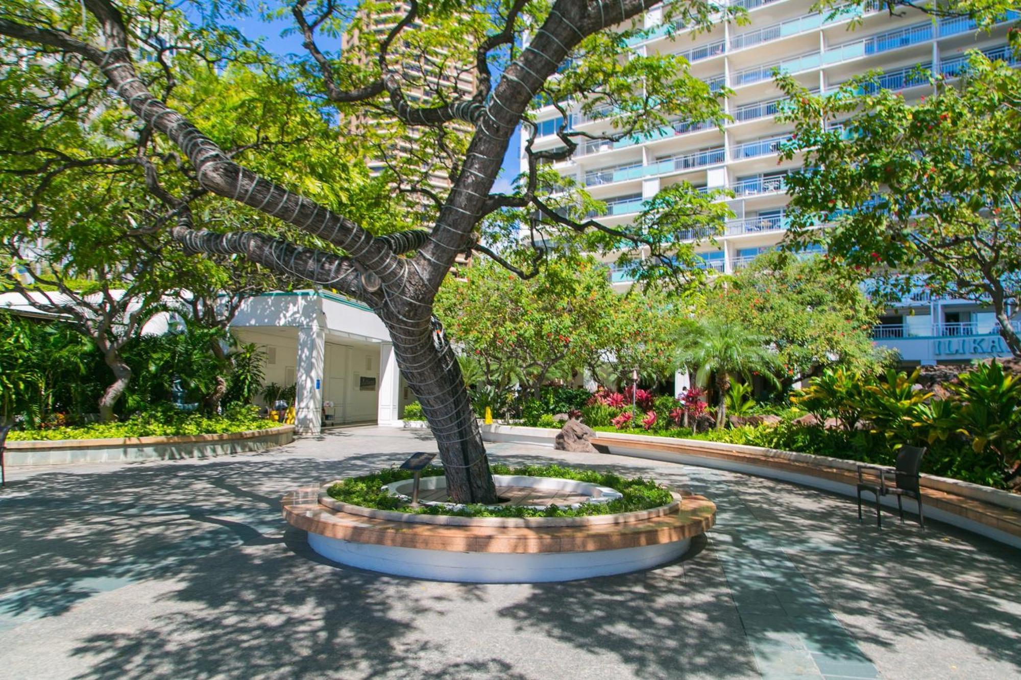 Ilikai Tower 1806 Yacht Harbor View 1br Apartment Honolulu