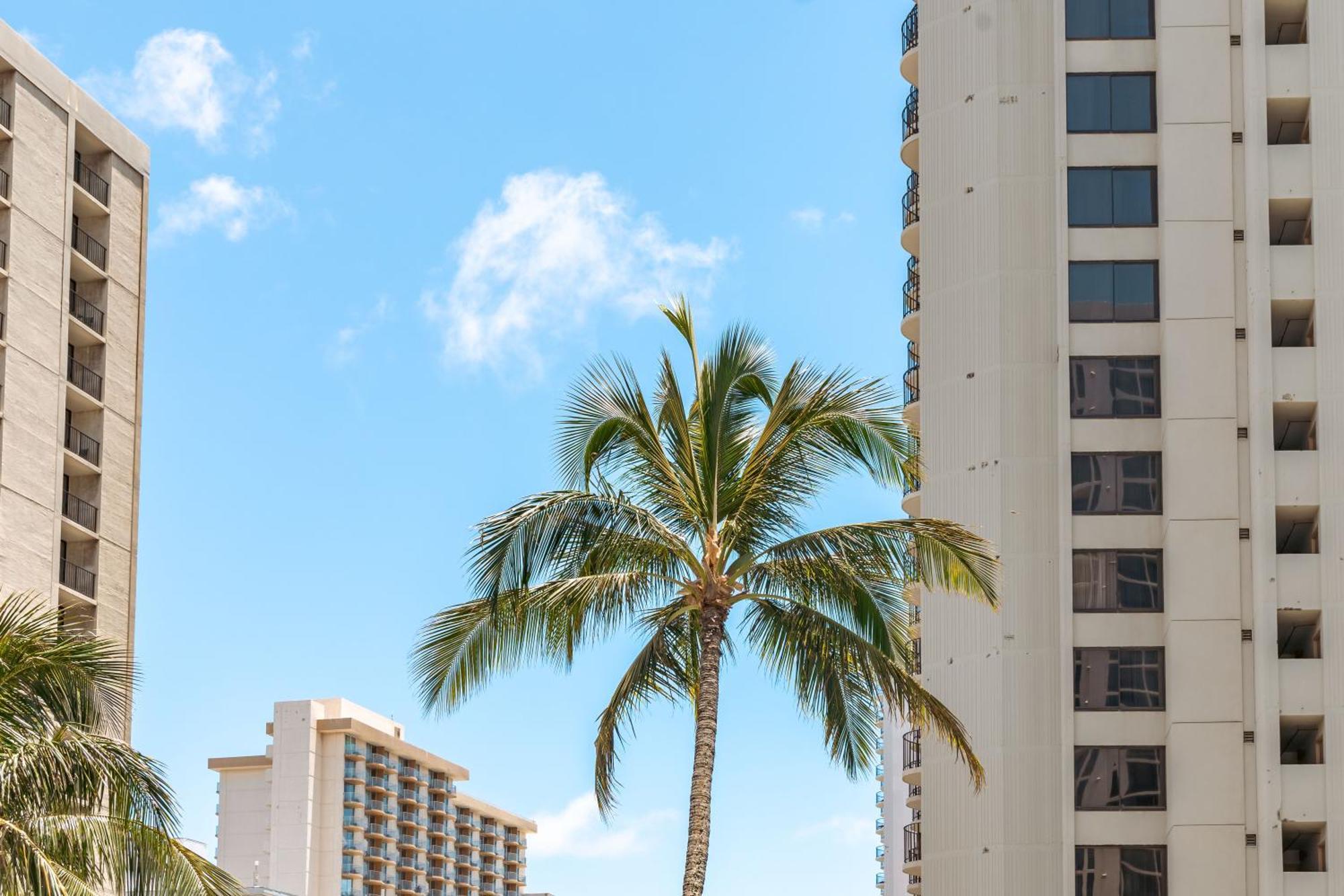 Apartment Lovely 1br Ocean View Condo, Near + Parking!