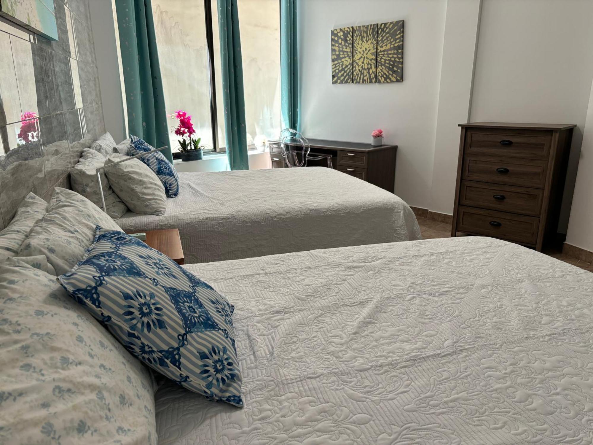 Apartment 2br Downtown High Ceiling Free Parking And Wifi