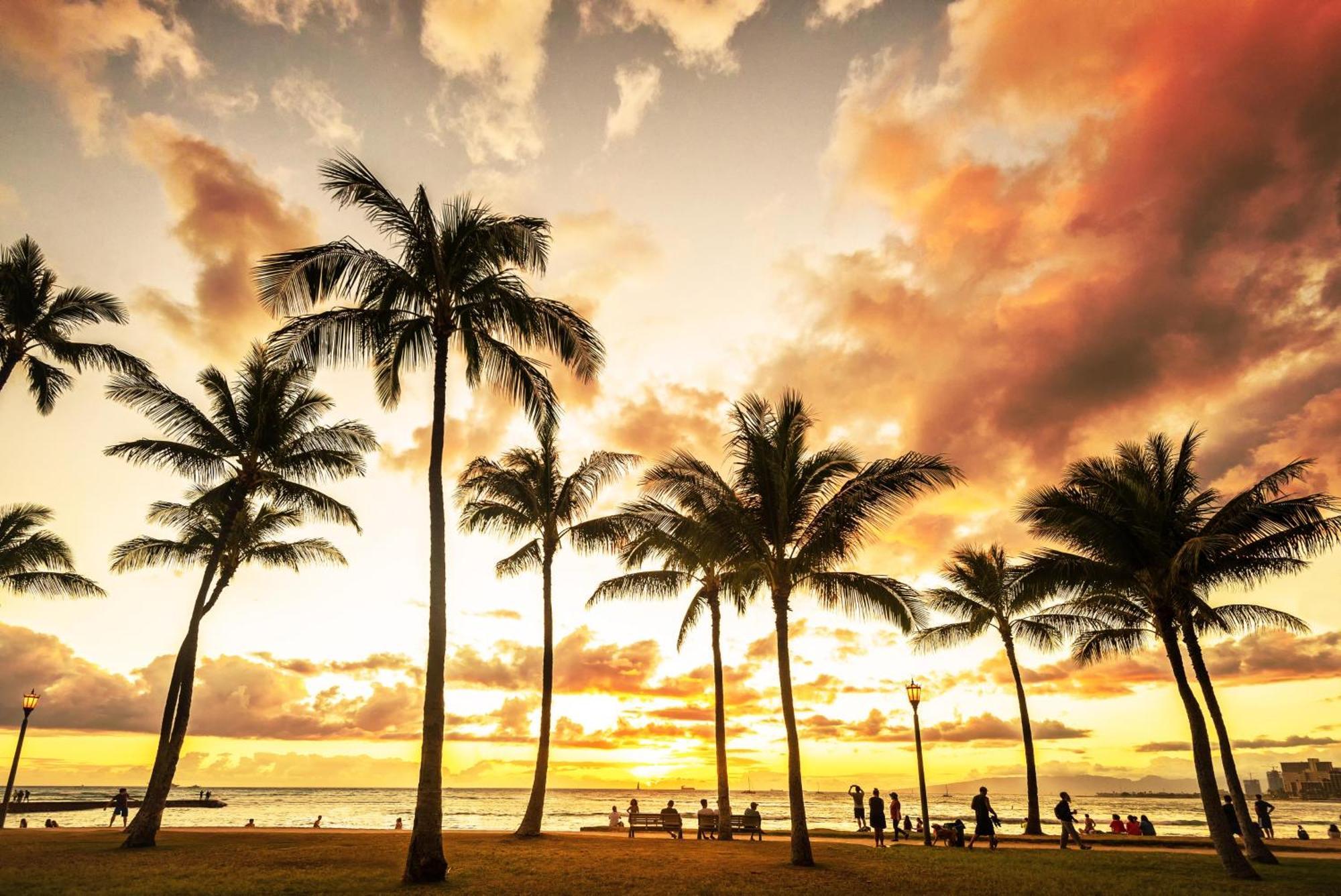 Humble Hawaiian Monarch *