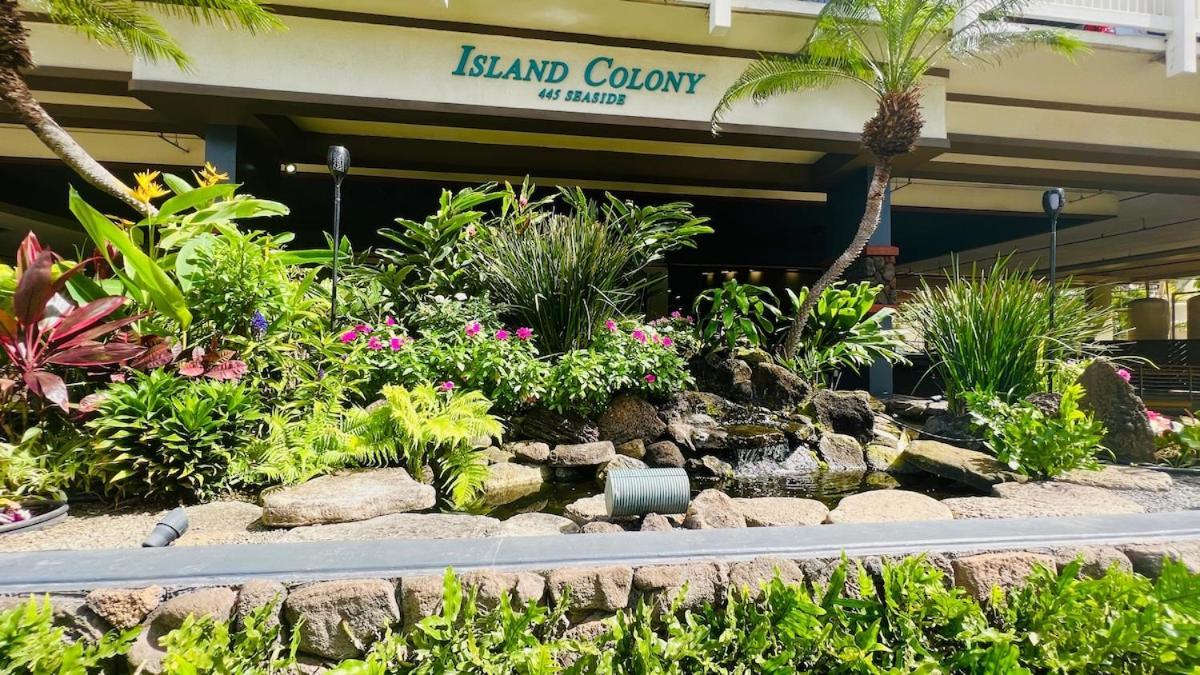 Beautiful At The Island Colony In Waikiki Apartment Honolulu
