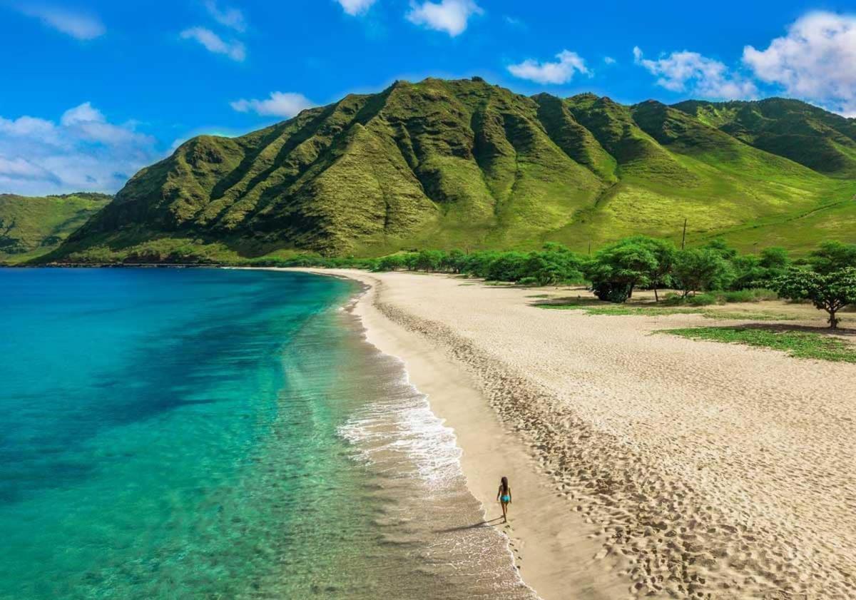Beautiful At The Island Colony In Waikiki Apartment *