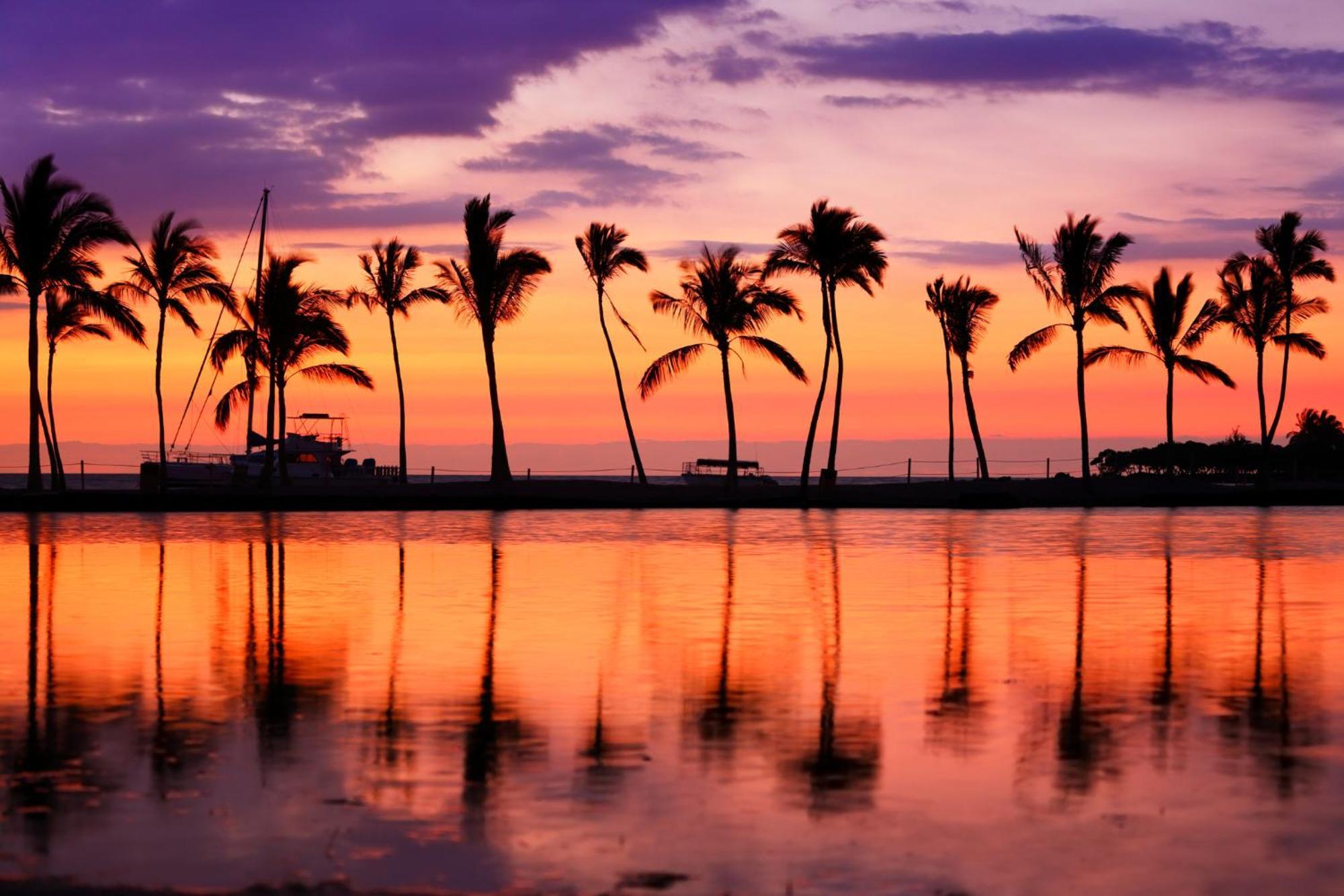 Waikiki Banyan Fabulous Ocean View With Free Parking Apartment