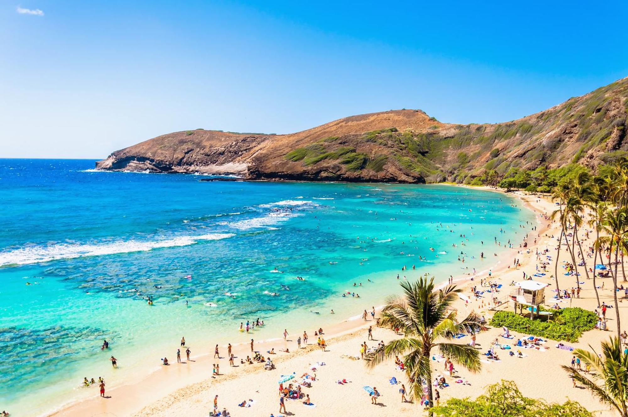 Waikiki Banyan Fabulous Ocean View With Free Parking Honolulu