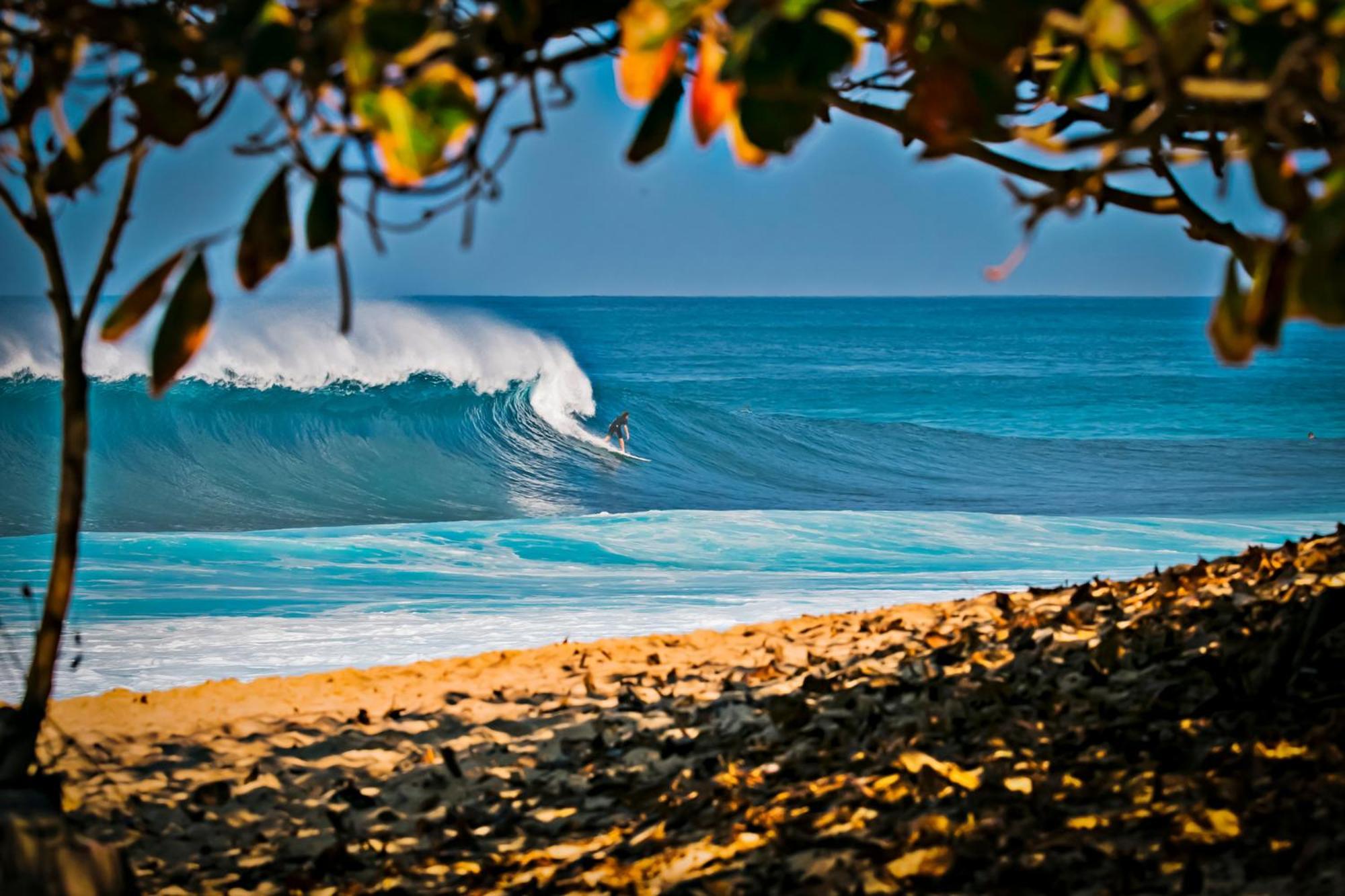 Aloha Vibes With Ocean Views, Near & Parking!