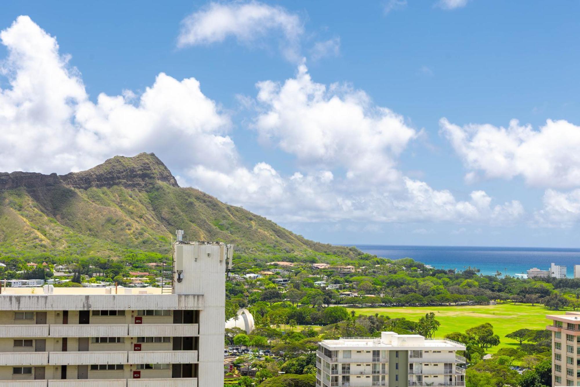 Beautiful 1br With King Bed, Ocean View, Fast Wi-fi & Free Parking Apartment