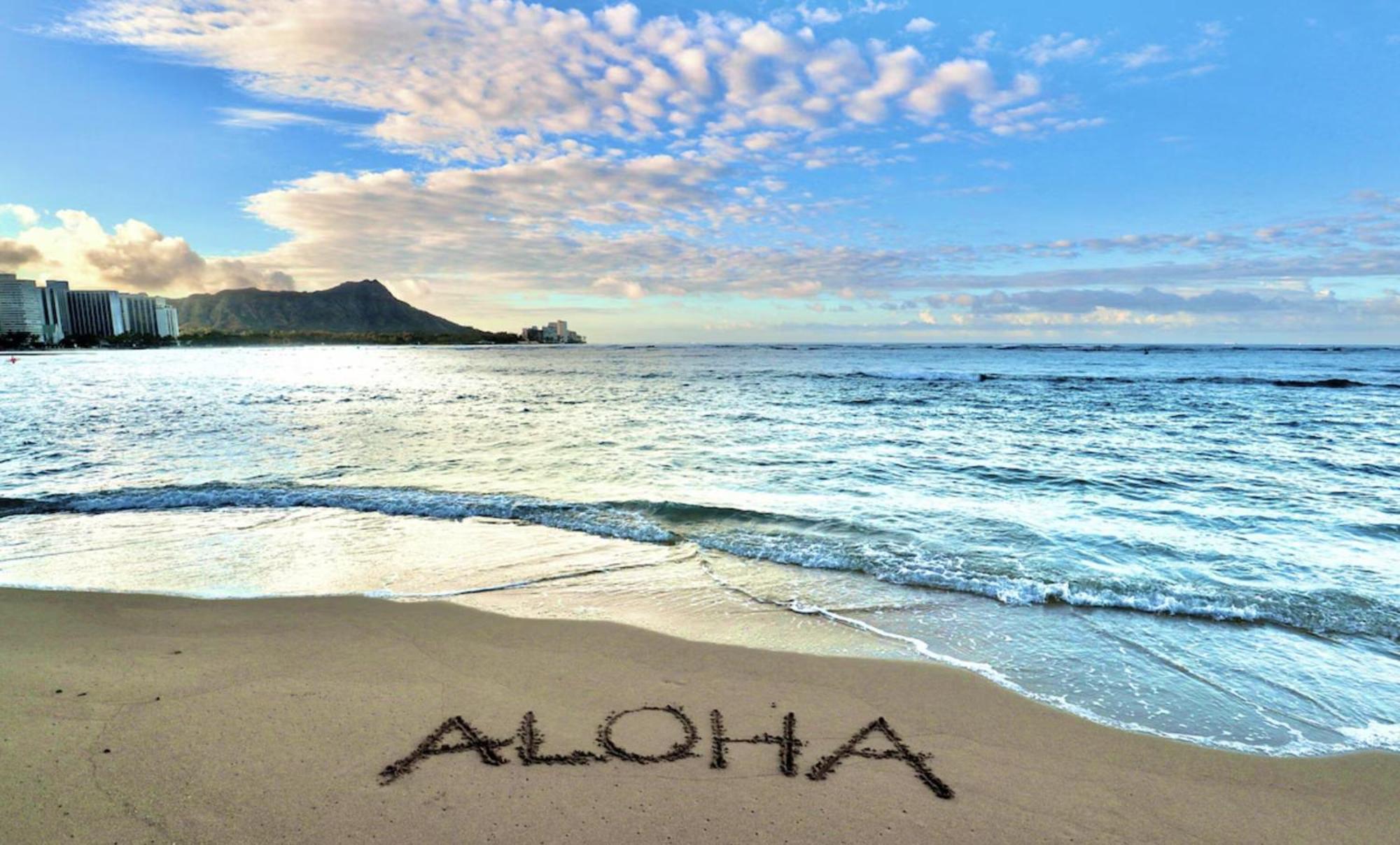 And Palm View Oceanfront Bliss With Free Parking * Honolulu