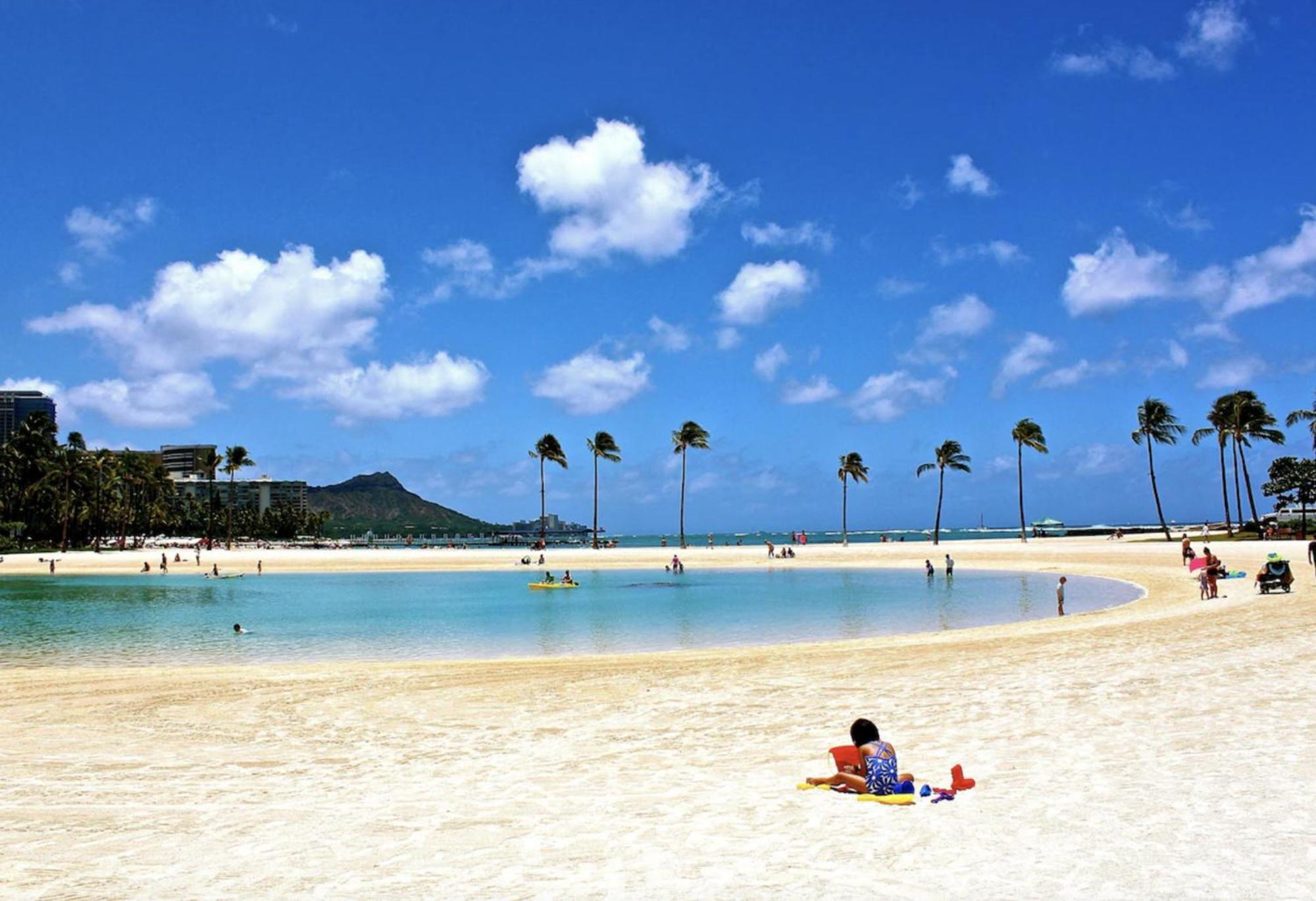 Newly Renovated Oceanview Luxe With Free Parking Apartment Honolulu