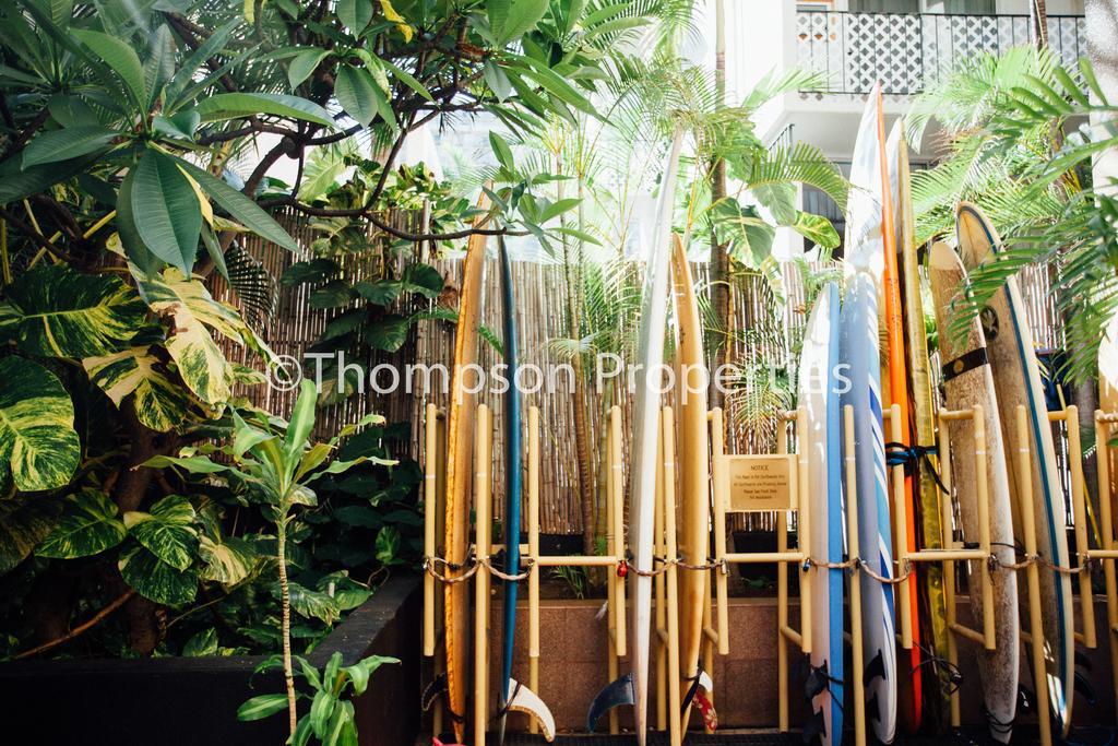 Bamboo Waikiki