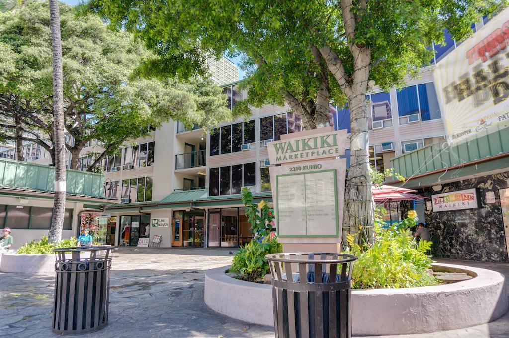 Kuhio Banyan