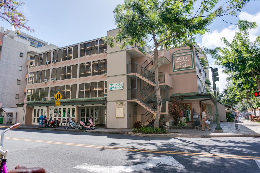 Kuhio Banyan