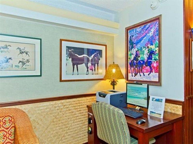 Equus Honolulu