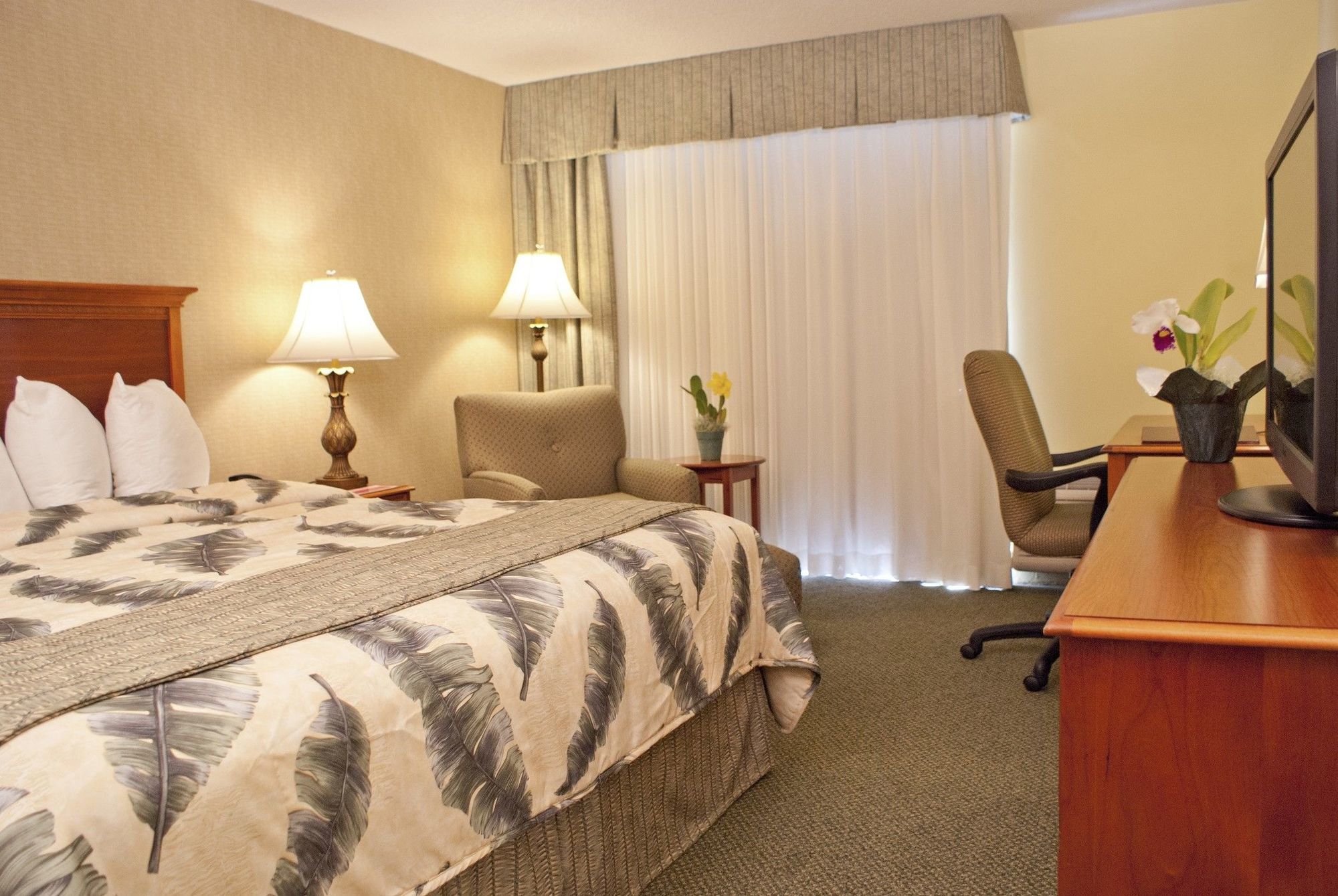Hotel Ramada Plaza By Wyndham Waikiki Honolulu