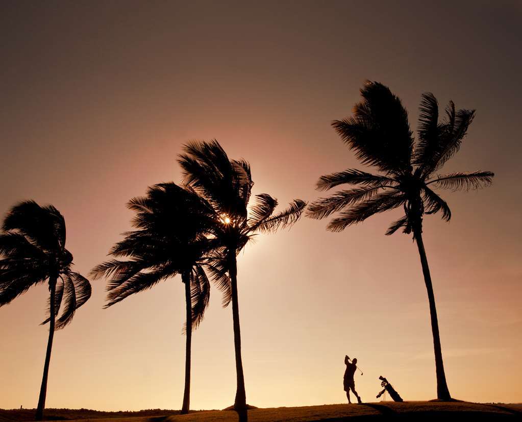 Waikiki Hotel 4*