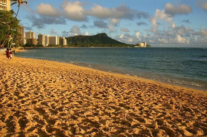 Waikiki Shore Beachfront *