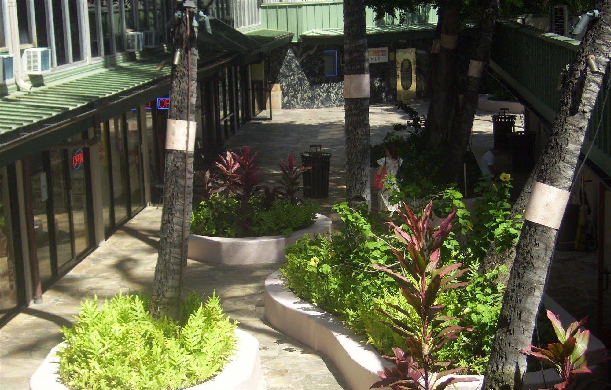 Hotel Kuhio Banyan 2*