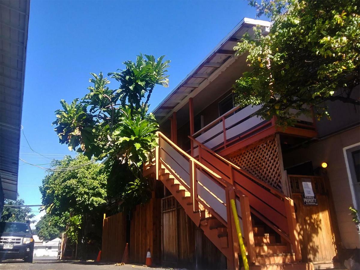 Plumeria Alternative Hostel