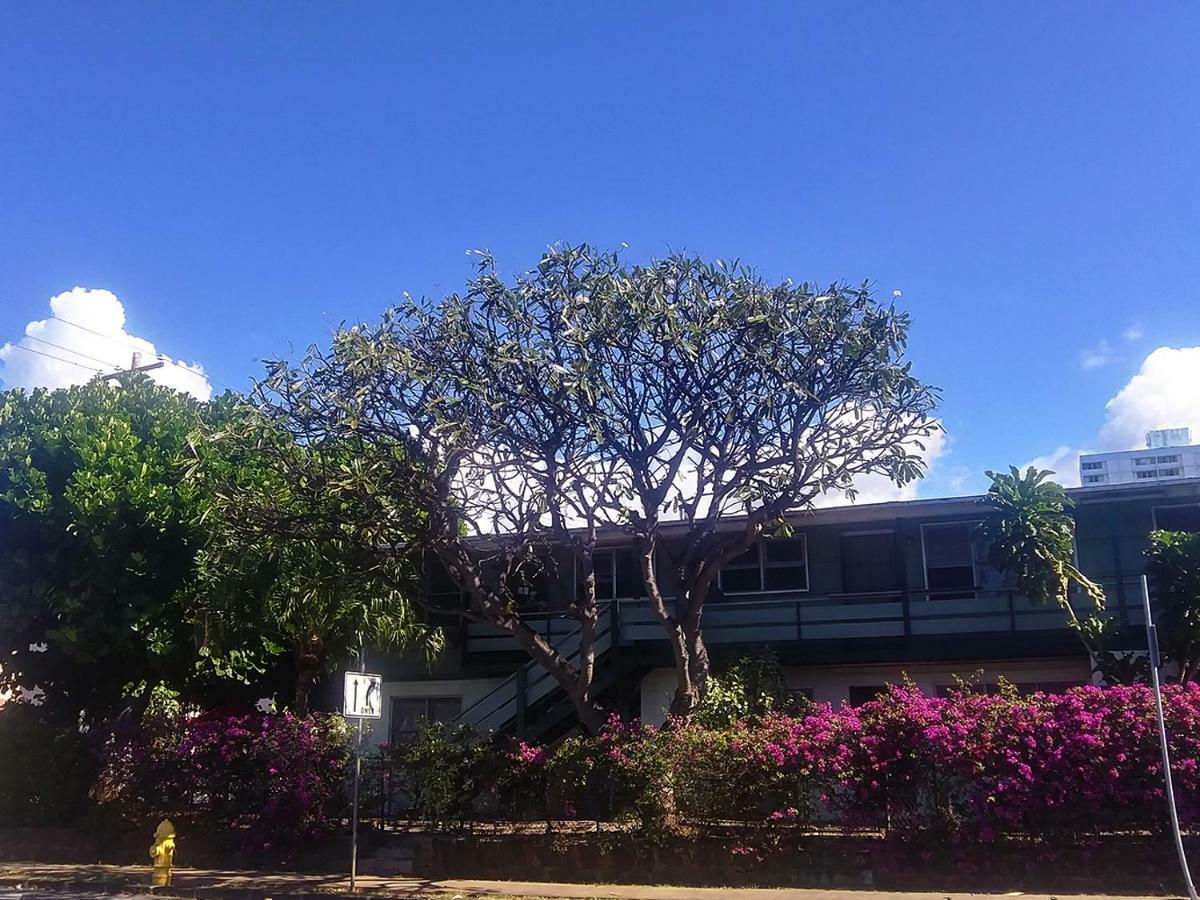 Plumeria Alternative Hostel Honolulu