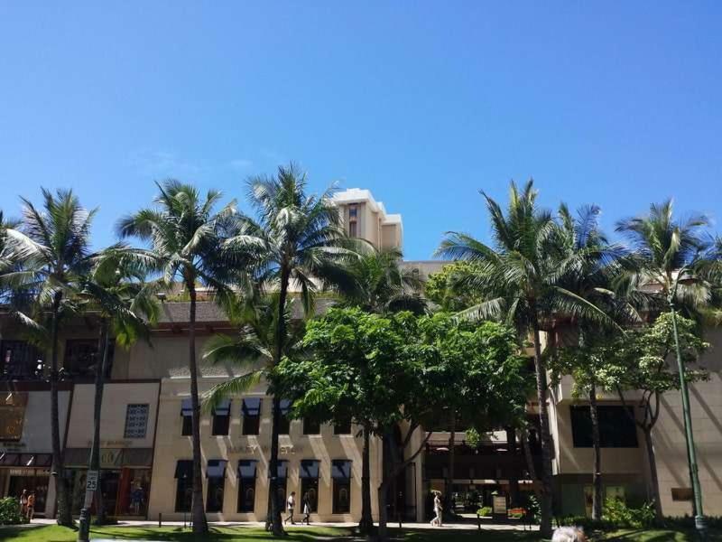 Heart Of Waikiki,1bdrm,free Parking, Wifi,no Fees,youtube,netflix !