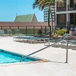 Waikiki Banyan Ocean View Oasis With Free Parking!