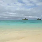 Island Colony 4218
