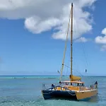 Island Colony 4218