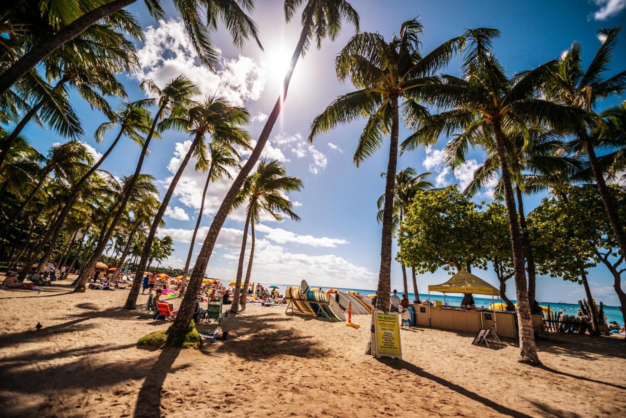Free Parking Close To Waikiki Pool & Hot Tub Apartment *