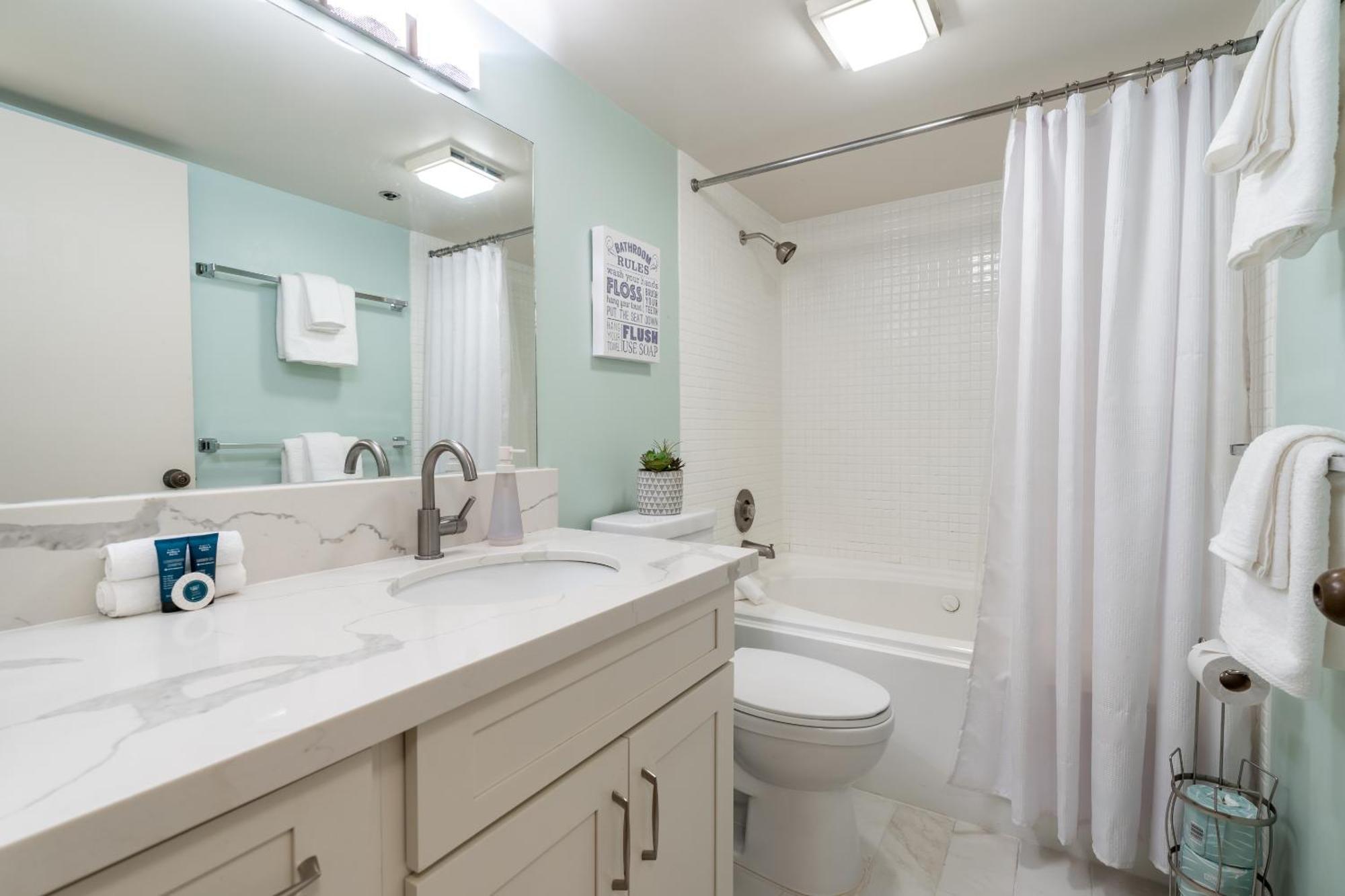 Spacious Downtown Executive Retreat - Free Parking *