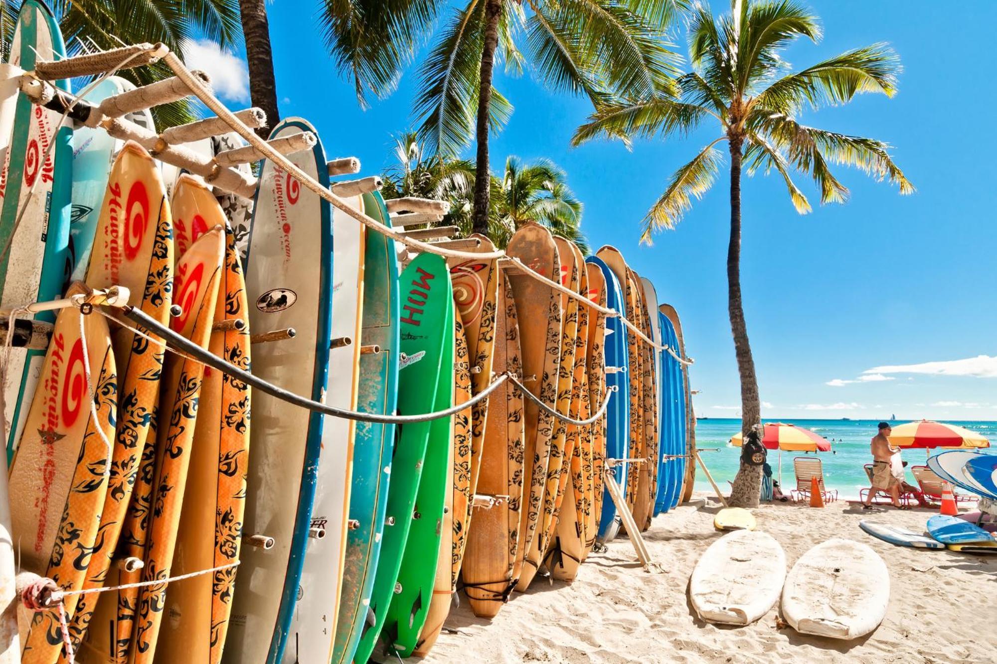 Waikiki Banyan Fabulous Ocean View With Free Parking