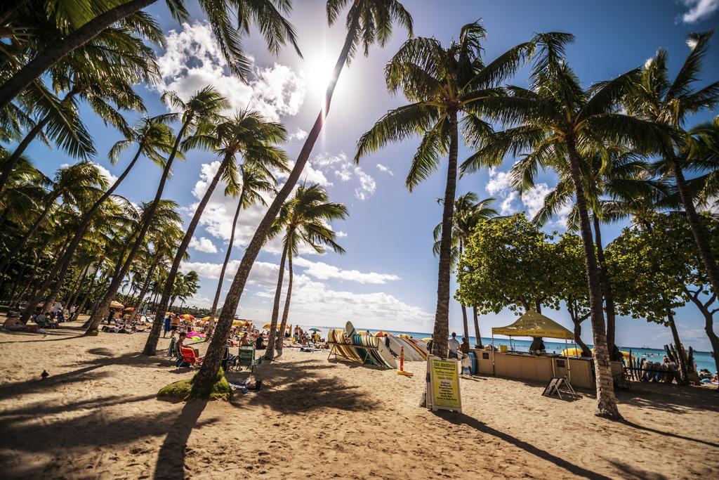 Mountain Views & Steps To - Free Parking! Apartment Honolulu