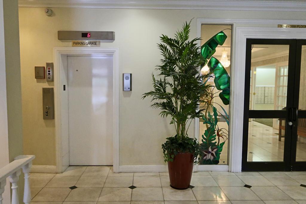 Royal Kuhio - Large 1 Bedroom Apartment