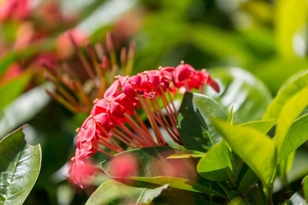 Courtyard By Marriott Waikiki 4* Honolulu