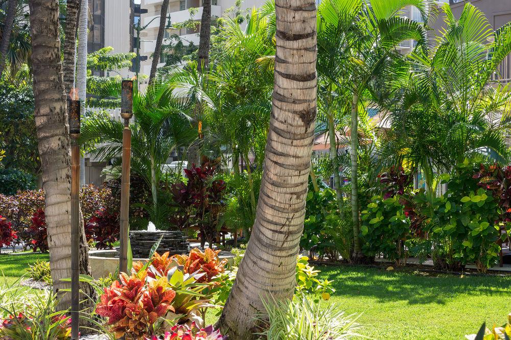 Courtyard By Marriott Waikiki Honolulu