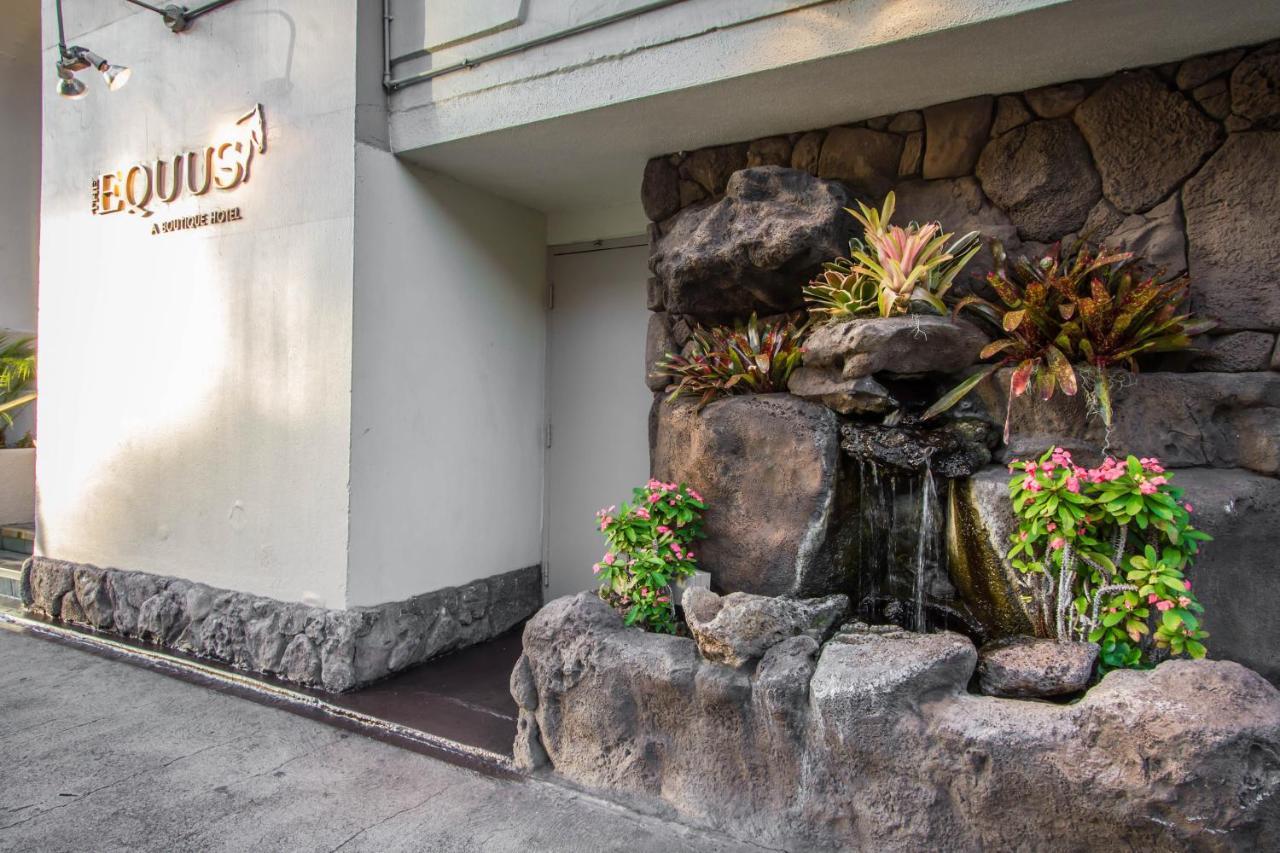 Hotel The Equus