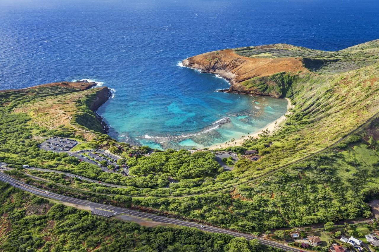 Hawaiian Monarch 916 *