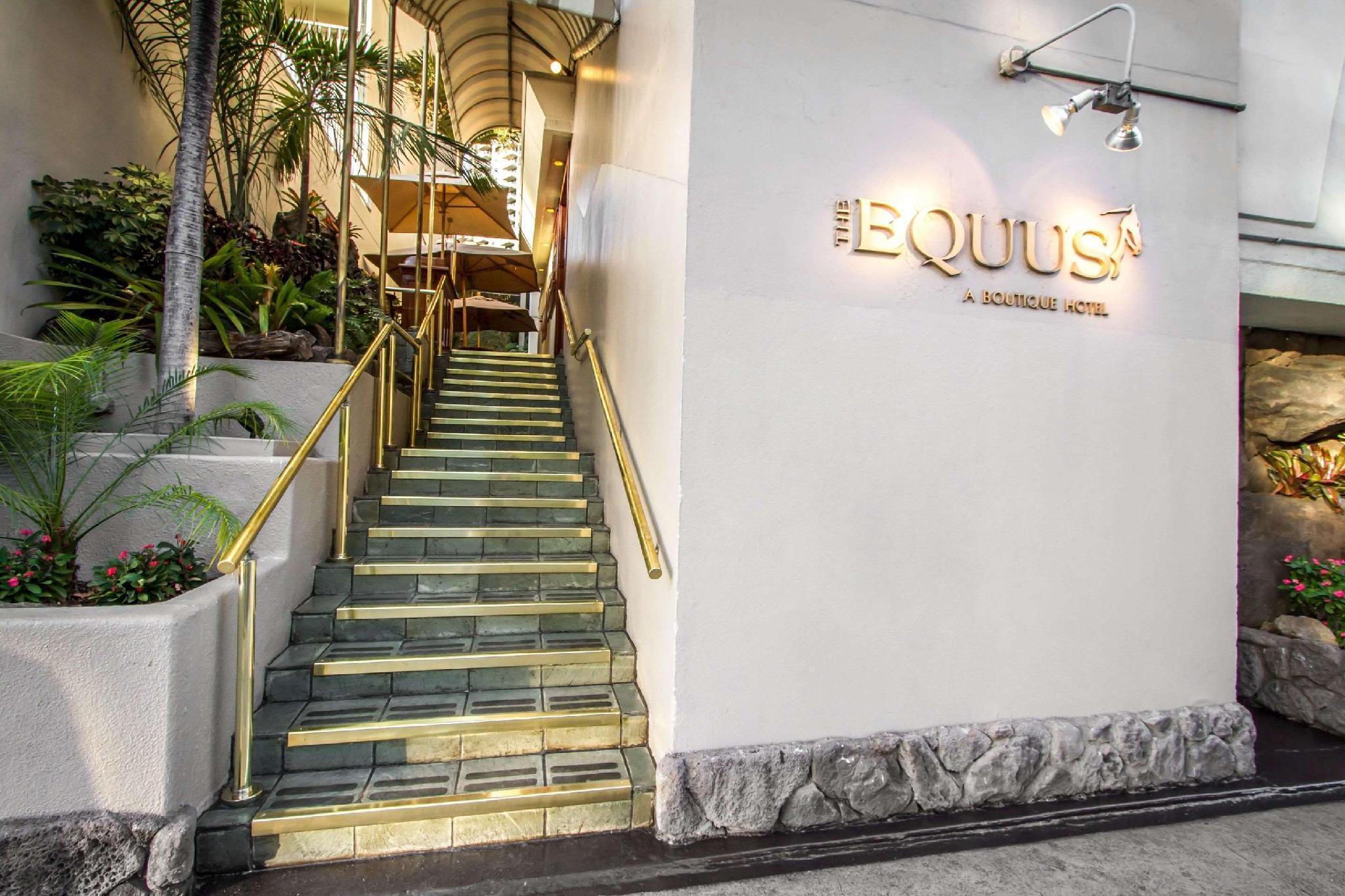 The Equus 3*