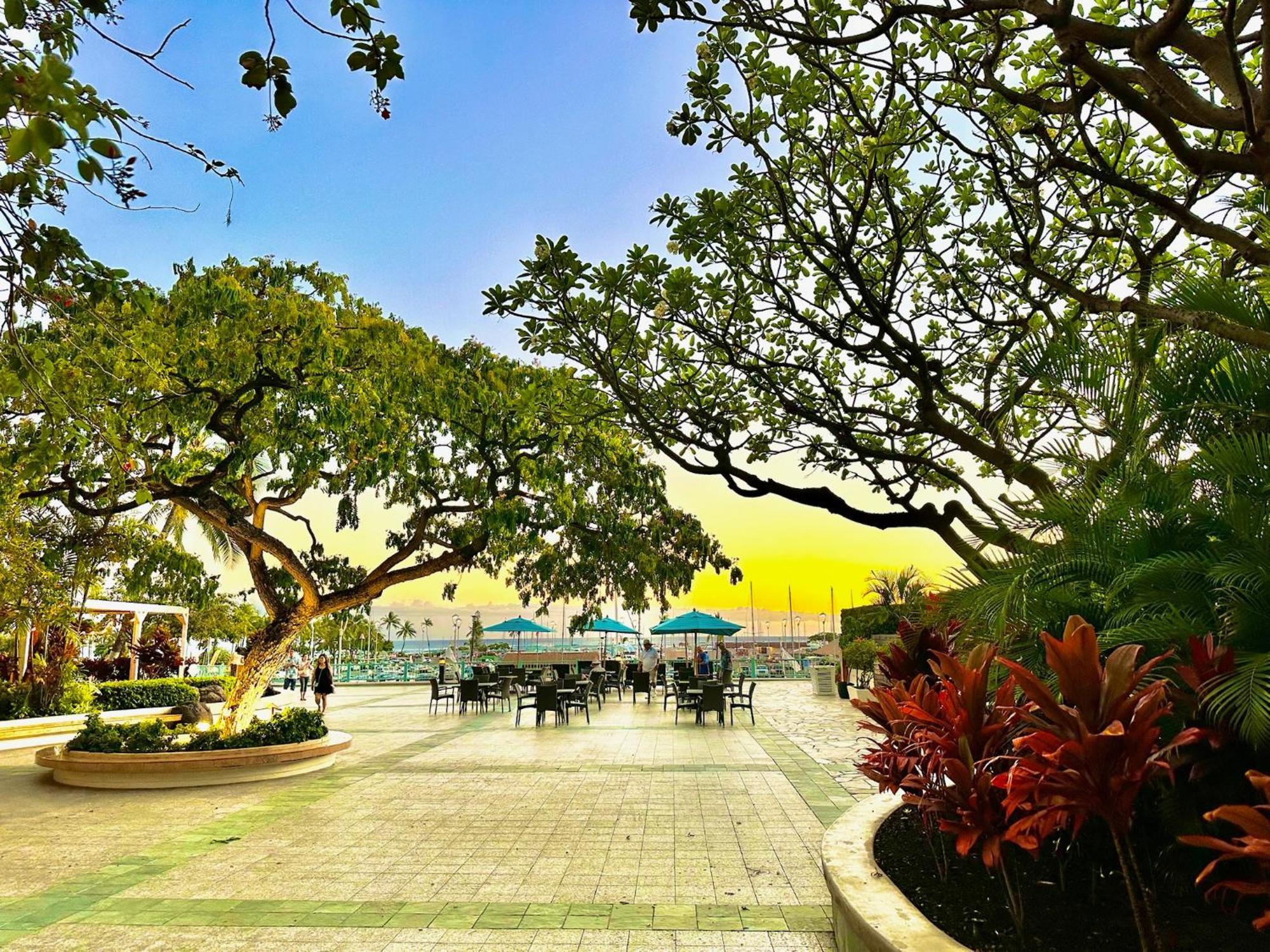 Waikiki Experience! Luxury Oceanview Suite! *