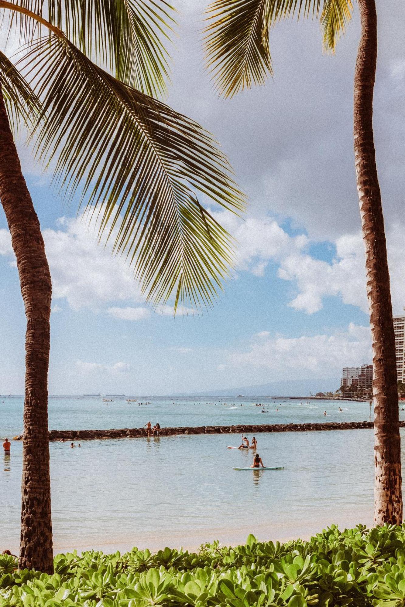 Hotel Royal Grove Waikiki Honolulu