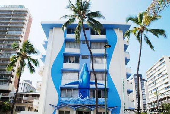 Surf Hotel 3*