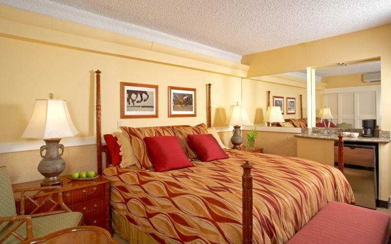 The Equus Honolulu
