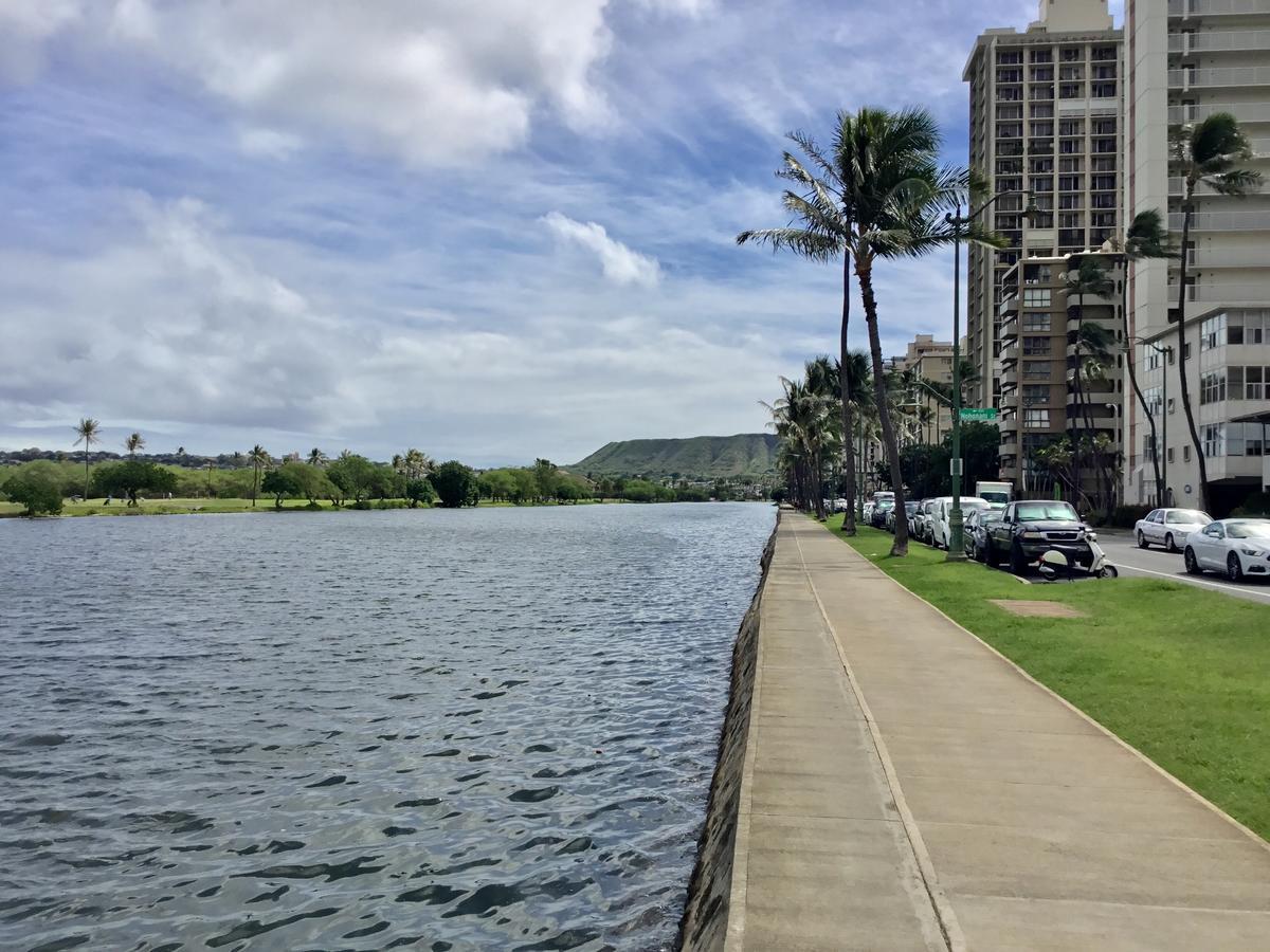 Surf Honolulu