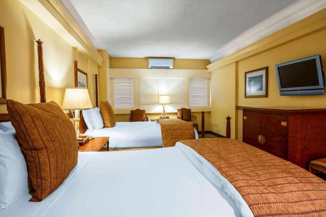 The Equus Hotel