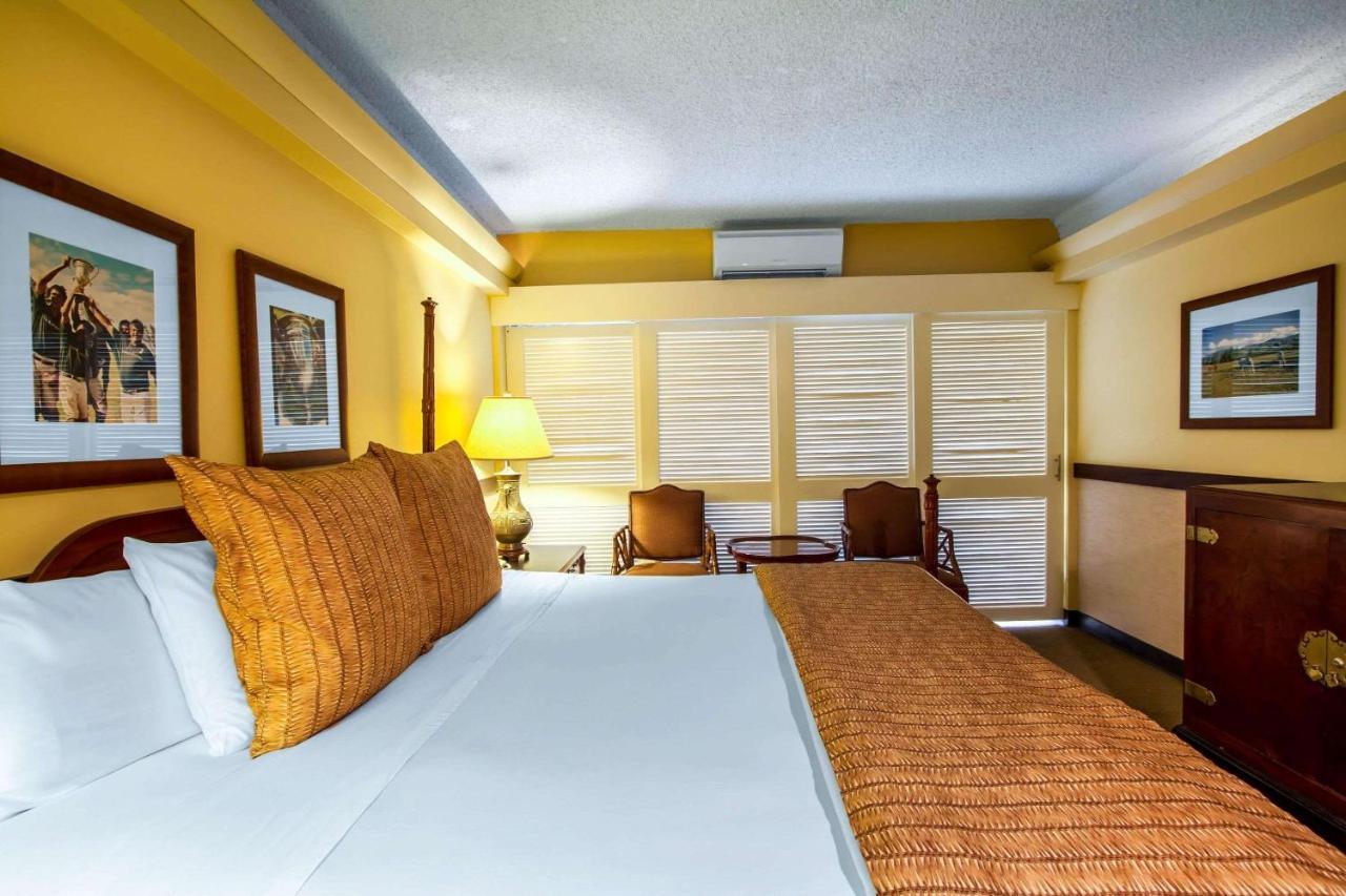 Hotel The Equus