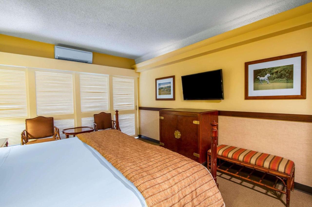 Hotel The Equus Honolulu